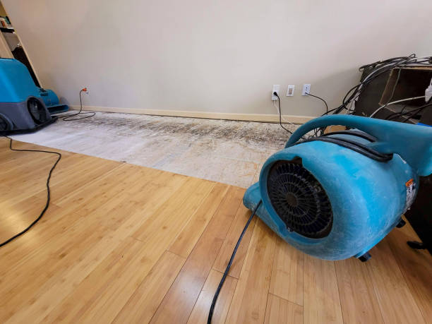 Professional Burst Pipe Water Damage technician working in Eustace, TX